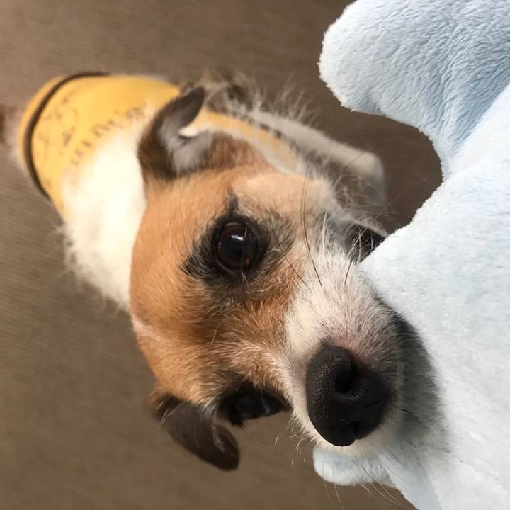 7e26facb ae86 4ae0 91df 4217b3d2c681