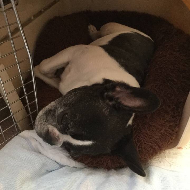 7e2742ff 758b 4bef 908a 67f9396dc049