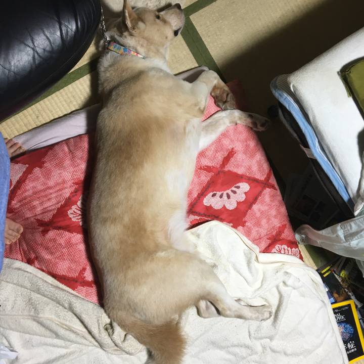 7e27c77b fcf4 4d46 bc54 2dd95aefe847