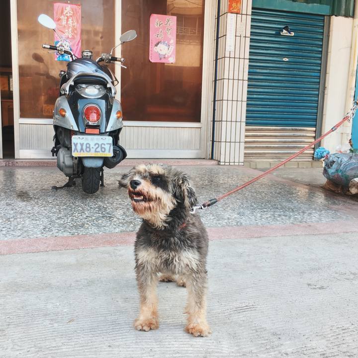 7e281c9d abe5 4533 955b 589a708746a6