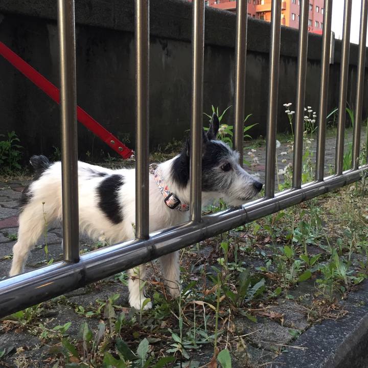 7e285264 a30c 47d0 adca b0703582f1c2