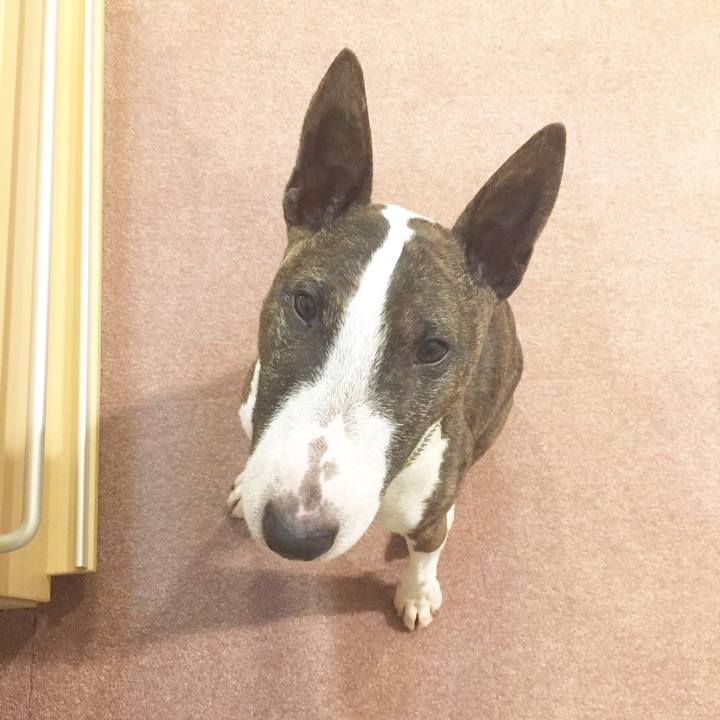 7e2a83c5 c27b 4a08 81e7 2db6db710a00