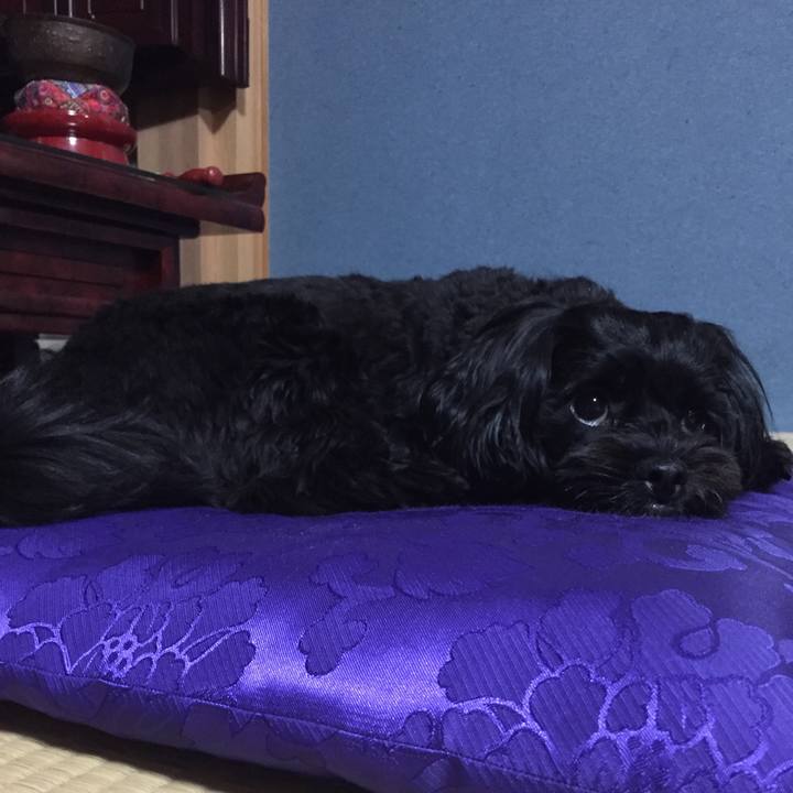 7e2a94d1 fd78 4ece 81f5 8e6086723310