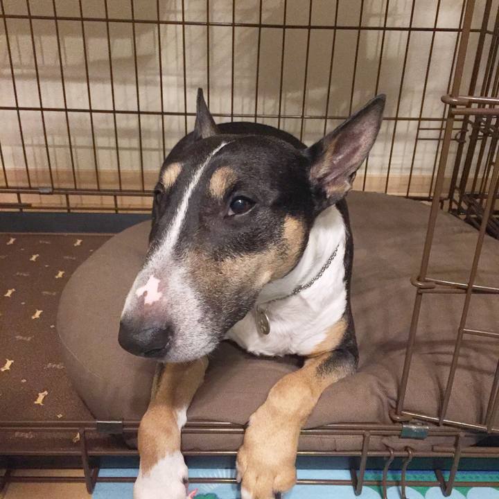 7e2b592e 8458 4ac8 8da7 567340e3762b