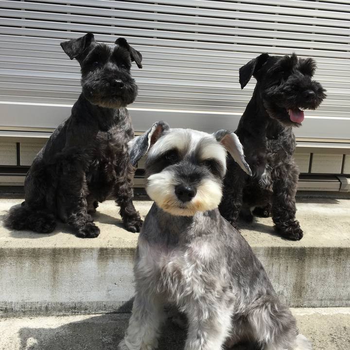 7e2c18ea c2bd 4fed 932e d3b868025d00