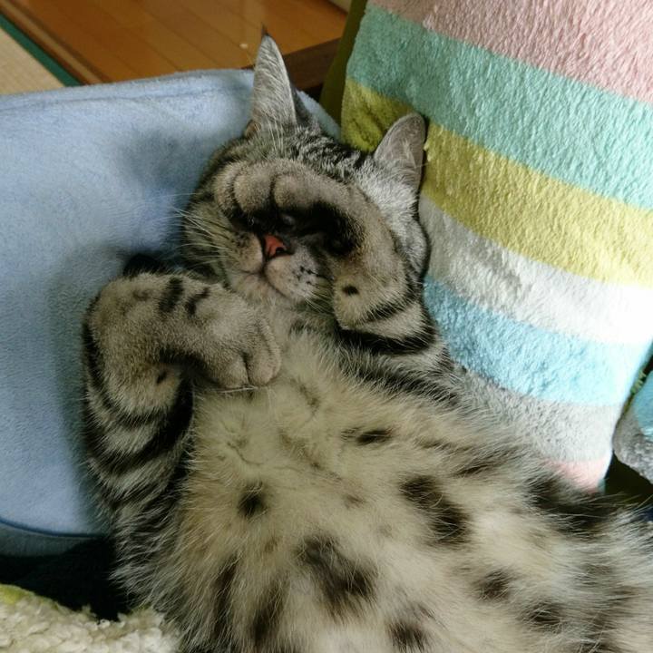 7e2c36f8 644c 4924 8409 a20b57afa490