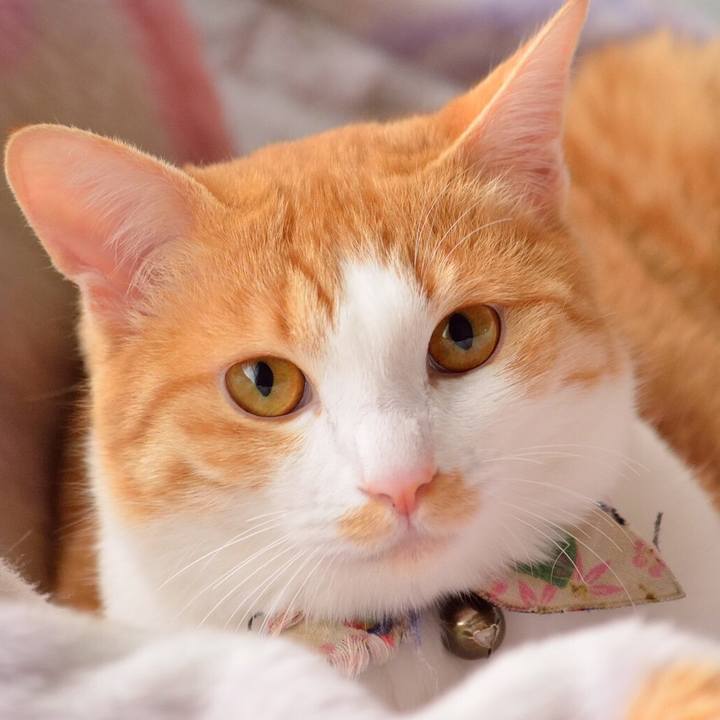 7e2c5b52 6640 438a 851c 569657f4d1a3