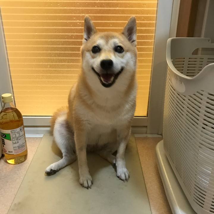 7e2c6af0 4f2f 4c90 a833 31abed2a3cdf