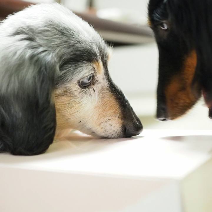 7e2ca8a2 fee6 40ee b33a e7357fa98b68