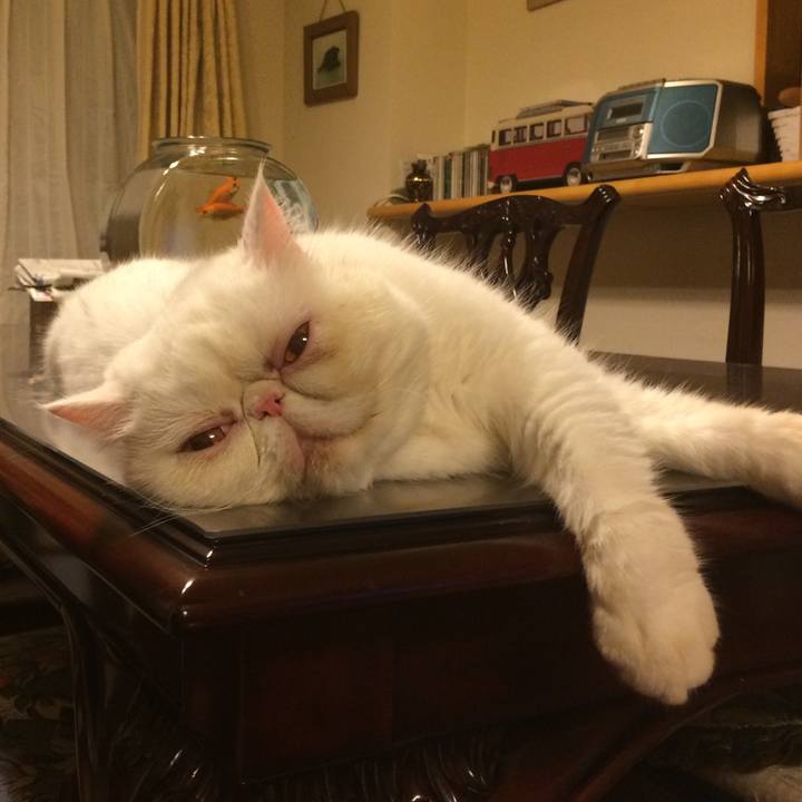 7e2caf24 81fb 41b7 939d eae9cdd13e78