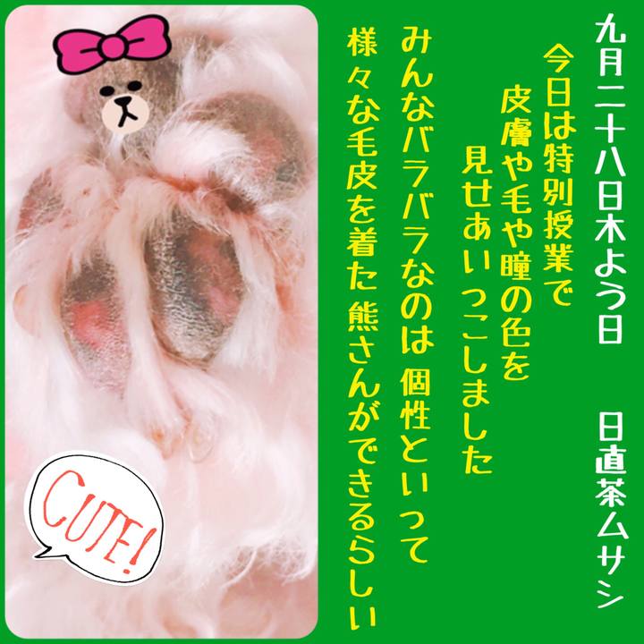 7e2d9a85 7164 4db9 b79a 1b37f1307dac