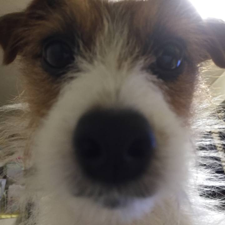 7e2da082 86f4 43f2 a705 ca31acd94697