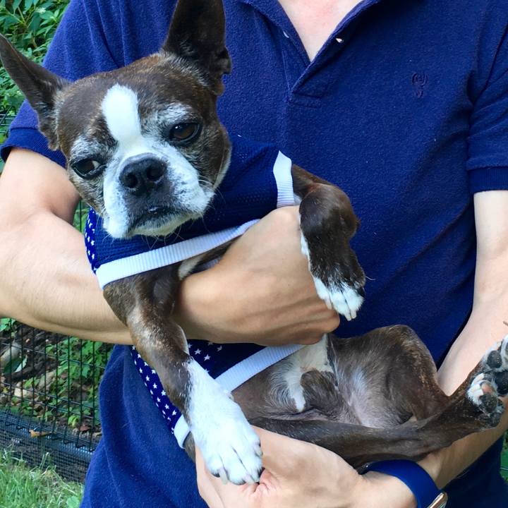 7e2db1dd ecb6 4a26 8b9d e2f3b818b5b2