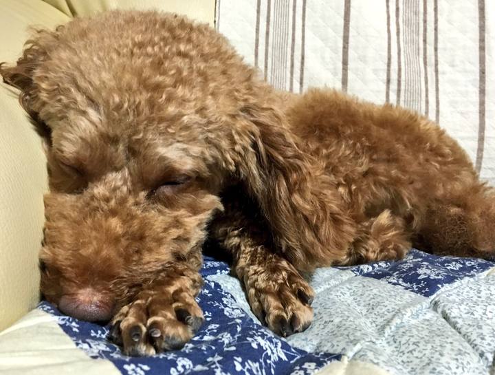 7e2ddab9 1ddd 4cce 9cec 7ce1af7484f7