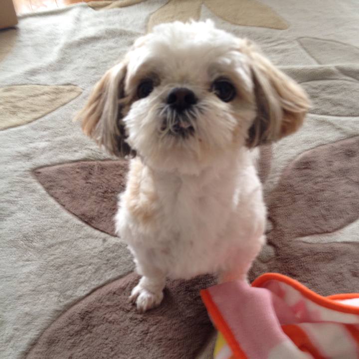 7e2e095d e3da 423b 84f5 f3df70feea4b