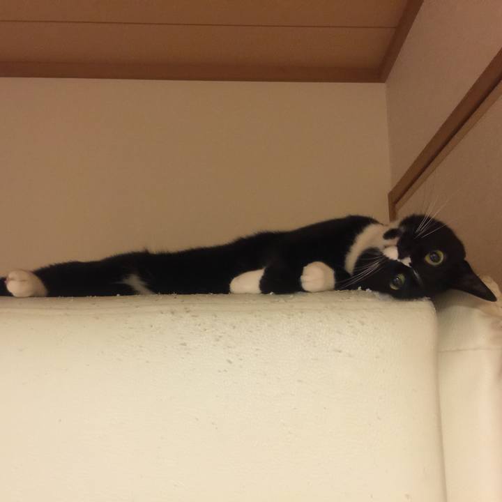 7e2e50de ce28 4f6b 8b65 c56ba9a3bf56