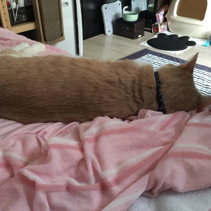 7e2e6a5c 6521 418d 9961 f78bd46e8576