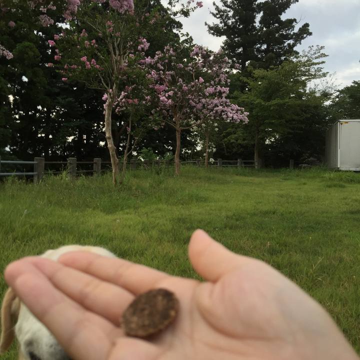 7e2e8259 faf2 4dea a9d5 7f9e7e460e5c