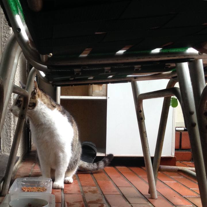 7e2f025b 472e 4266 8306 cfeb8b5c256d