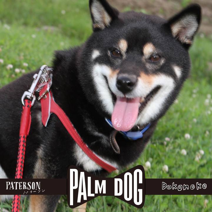 7e2f0c96 46de 4314 b701 cbd1b2360d7f