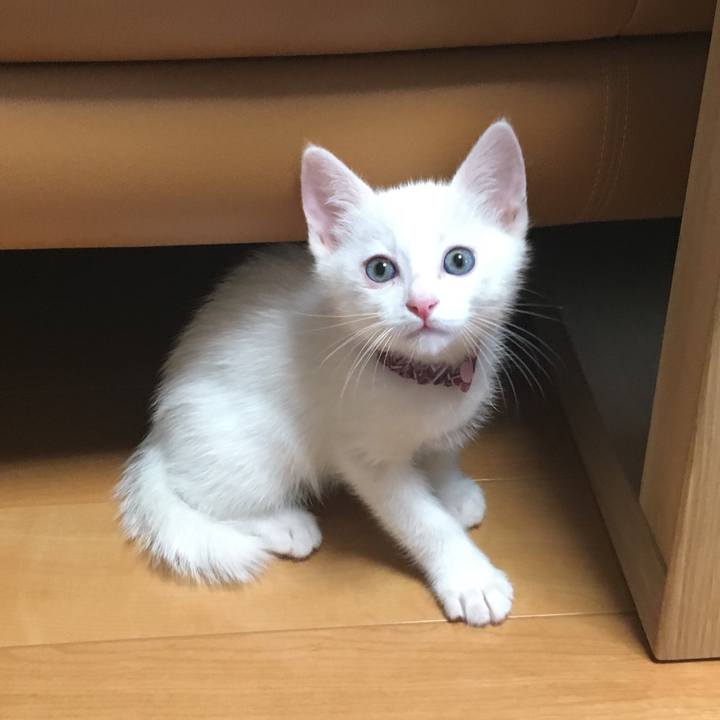 7e2f3073 43dd 4e0c bc72 6fadb4b1f72e