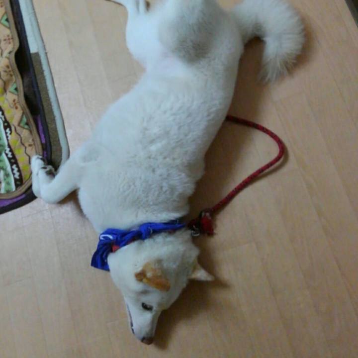 7e2fb7d1 12e7 4cbf a8a7 ddd8d5c6fa61