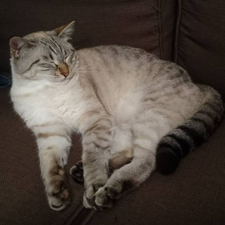 7e301bac 2ef2 49b4 ae43 175e5b4d0a70