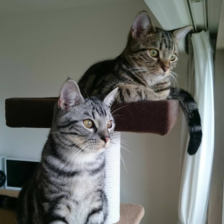 7e30a053 f78a 4aab 82f3 9cf3427d9d79