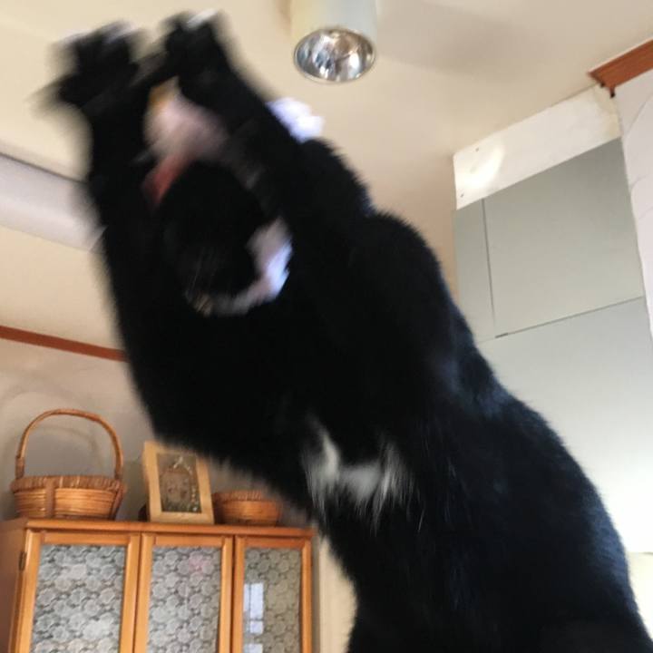 7e30b4bd cc21 4de2 aa64 44bec2b72cae