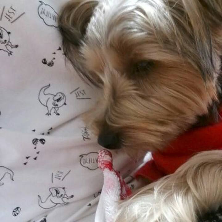 7e30d4d5 de9b 4888 b70c 602ddc8f2415