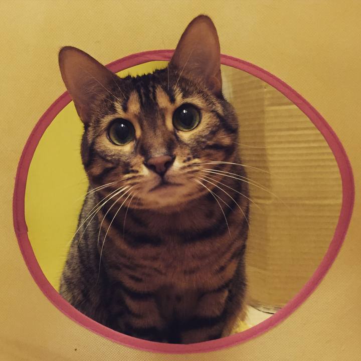 7e30e962 f119 4a0e ae03 4316ea239876