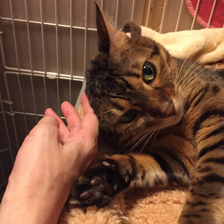 7e311dd6 42c8 45eb b74e aafcb212c8b4