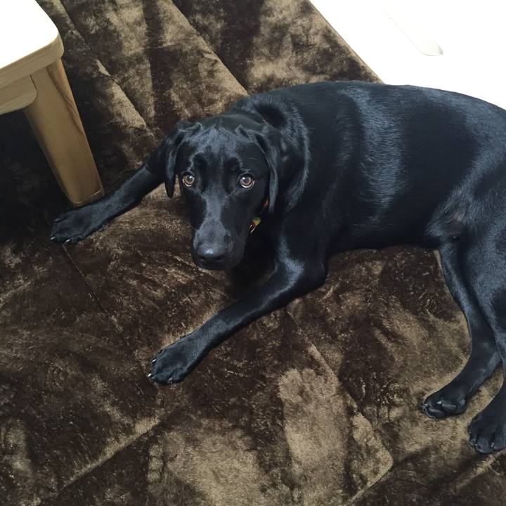 7e328528 0f51 49f7 bb16 cf7b0c59339f