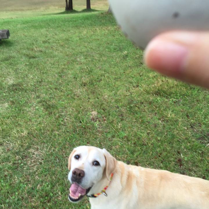 7e328e1f 209c 4f03 8594 932c06445b97