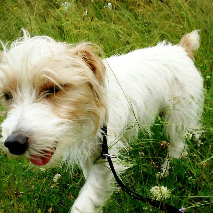 7e334c90 06f4 4985 b2fc bcab0e42b897