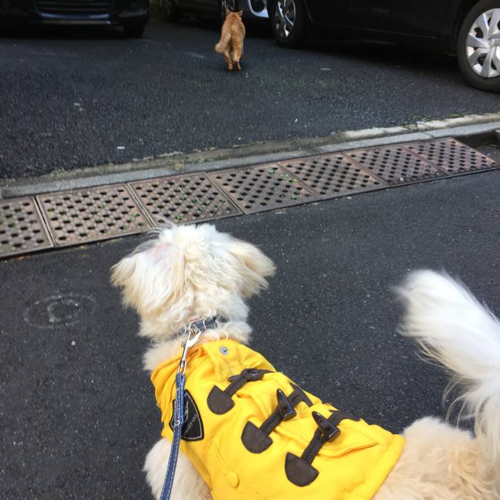 7e3415b4 5836 4288 a297 565253da3733