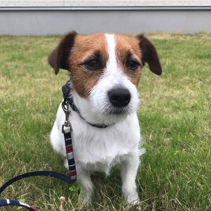 7e3448d9 8b91 46d5 87af b9dcfab43fe7