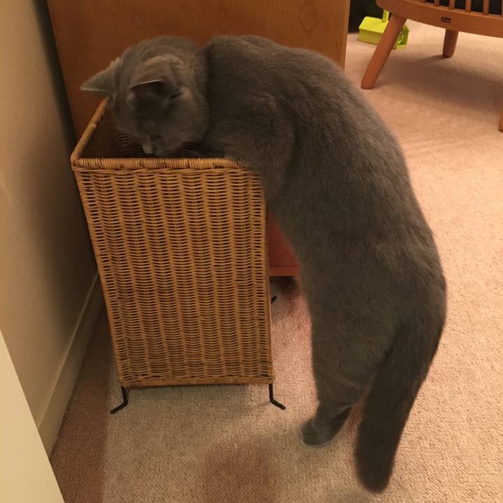 7e345066 3b1f 490e 9485 d40d00d35998