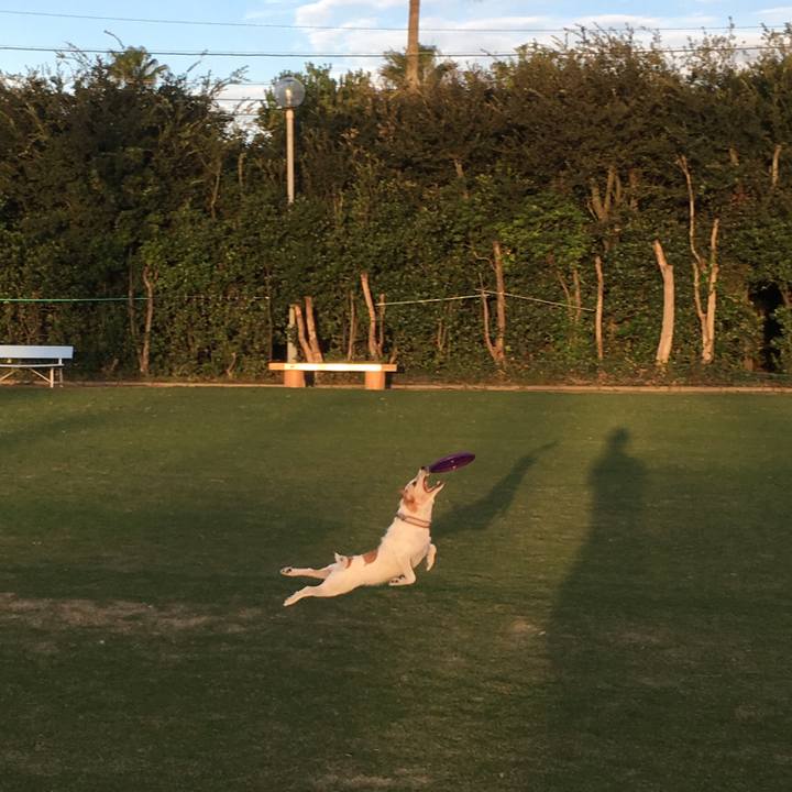 7e345197 0a61 48b1 88a6 18eab1c1f343