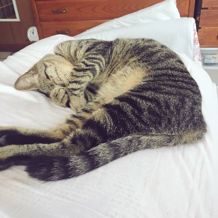 7e34bffa 9714 46a8 abd1 79abe58d0065