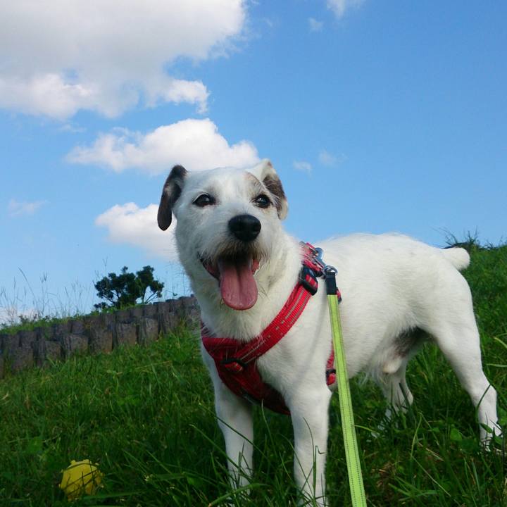 7e3537e6 e354 4fc5 b39e 920cba3183ac