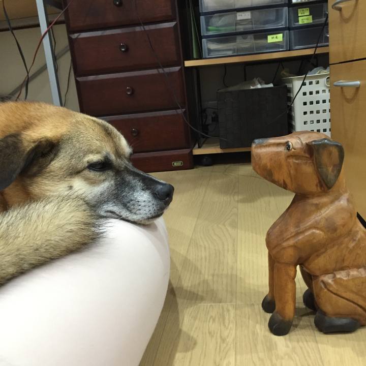 7e354099 0a5c 459a a262 8e613560e888