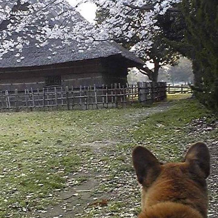 7e35554b 2406 4d36 b34b 6b9efbfe22fe