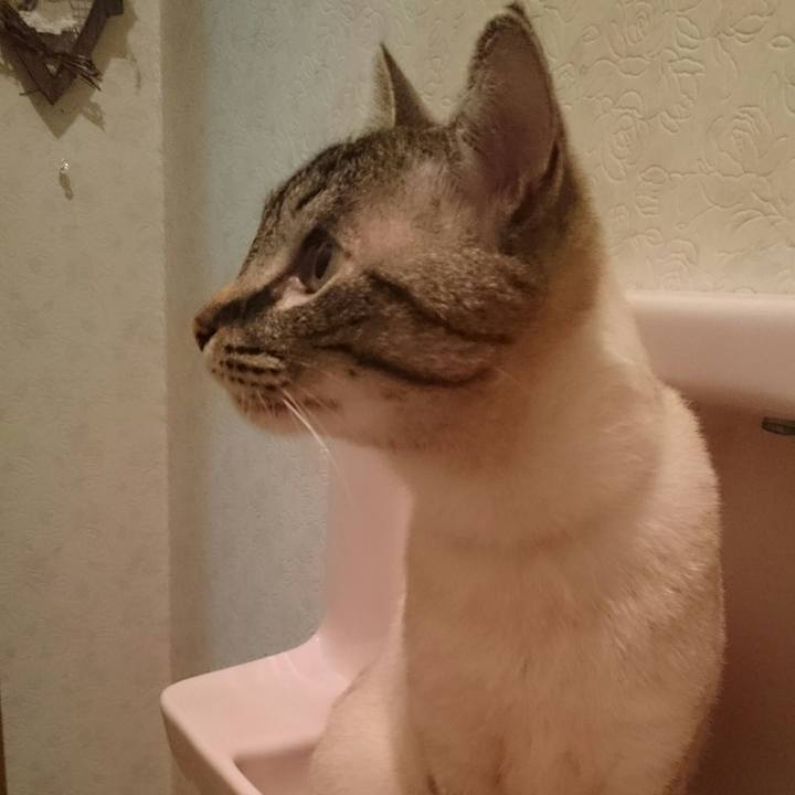 7e357092 6784 47b5 b5bd b44c91d9d1be