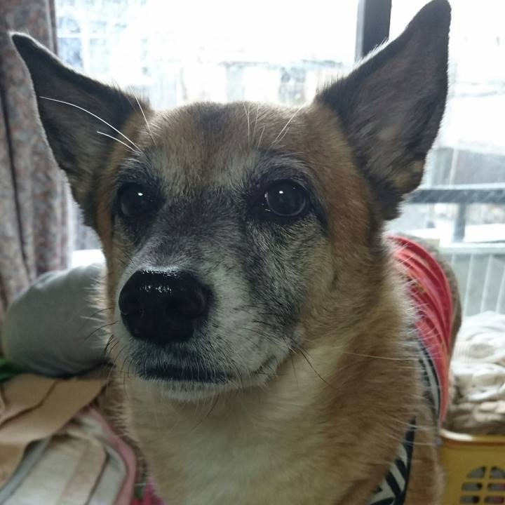 7e35cab8 9b29 4990 914f c9c4a48dac06