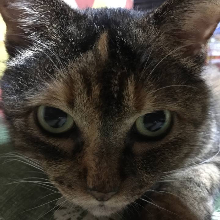 7e36025e 0d91 4740 8c7b 4f7c7ec6e795