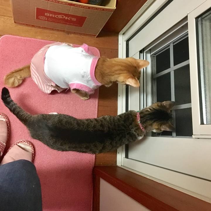 7e362426 efe9 4f17 8a7c d358561c32fe