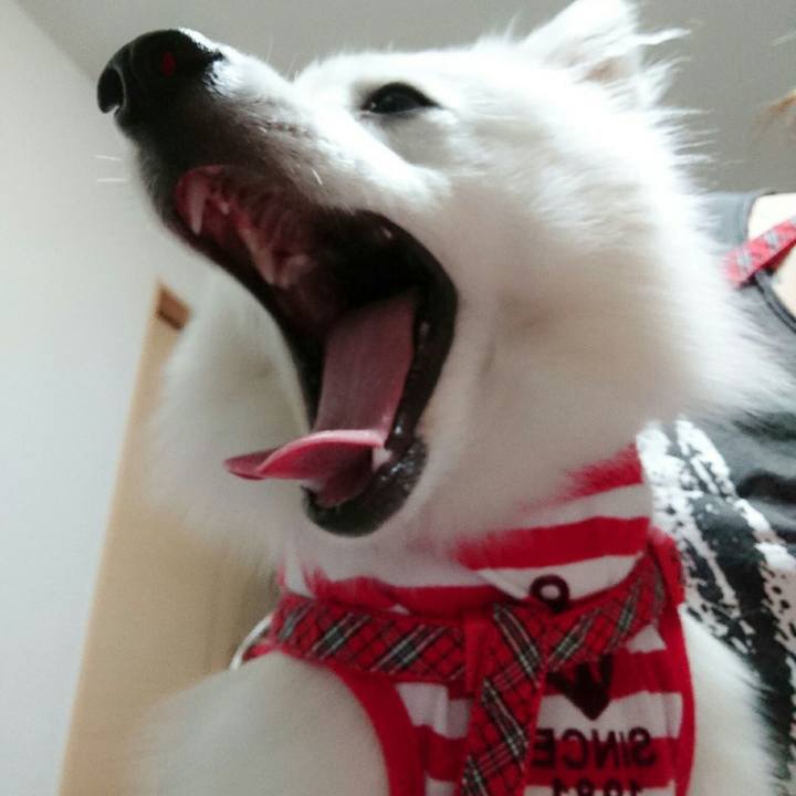 7e36620b 87ec 4e51 bf66 b58a430b2280