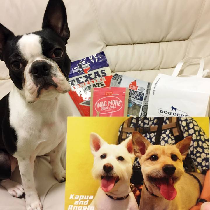 7e368979 0bcb 4900 8624 52dd01fcea5c