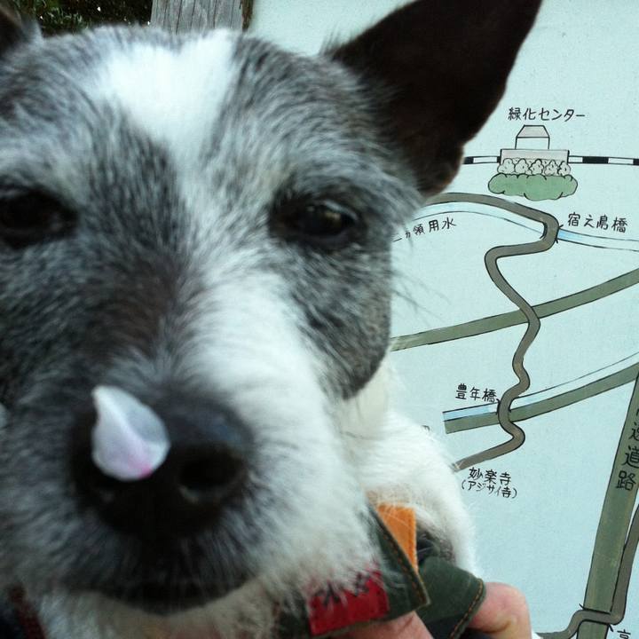 7e36ea2d 83bd 4ab7 b9e4 a83421098949